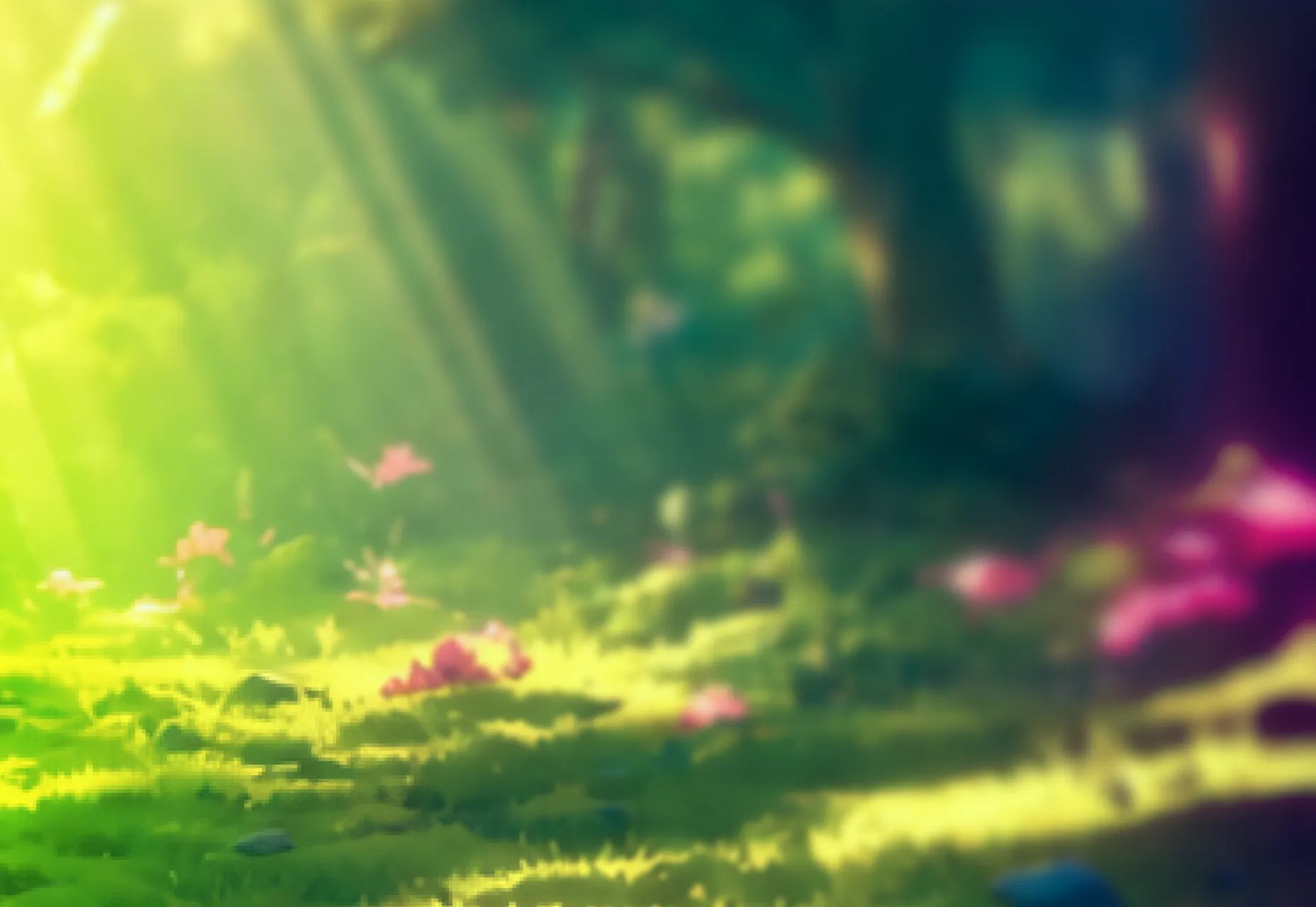 promo image